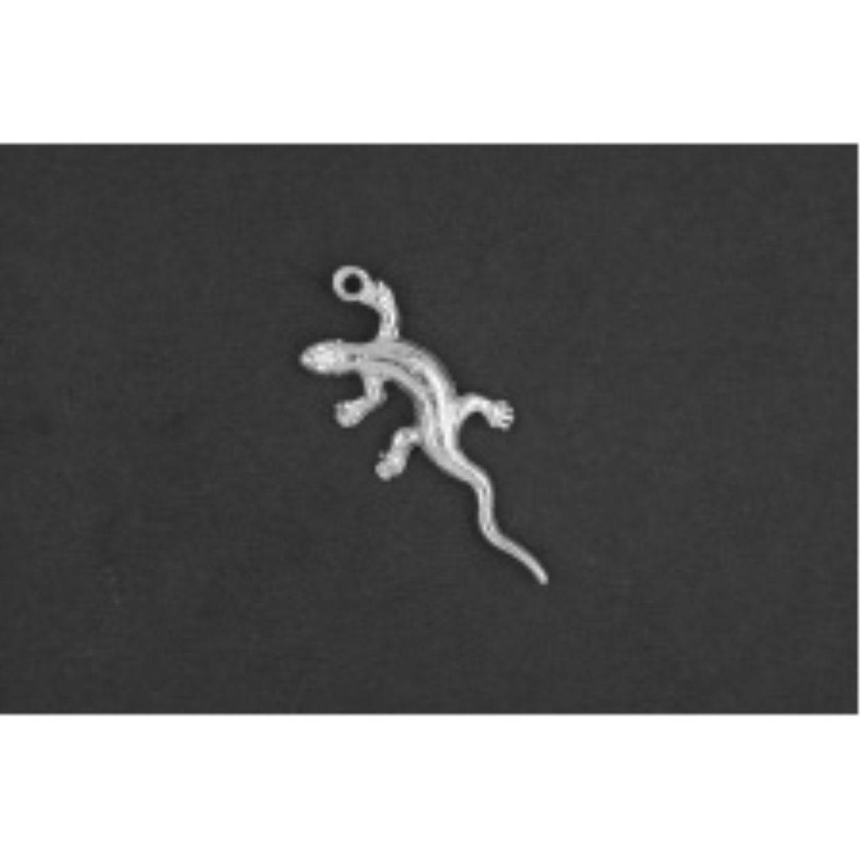 Salamander