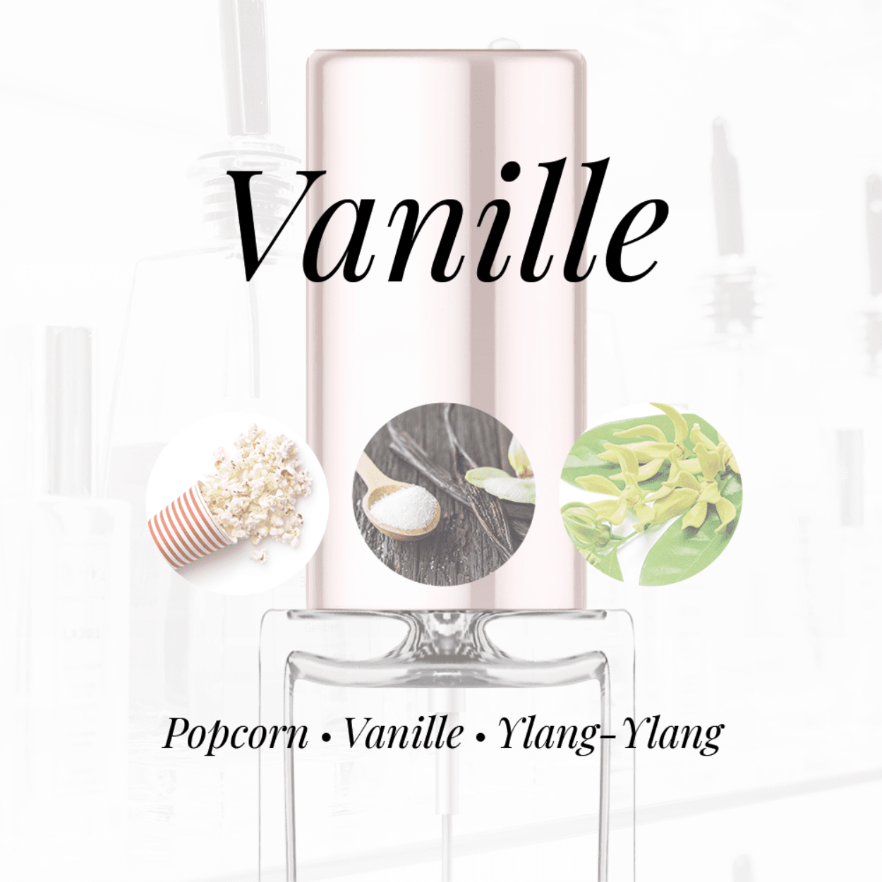 Eigenschappen
Geur: Vanille
Waarneembare geuren: Popcorn, Vanille, Ylang-Ylang
Sillage: Midden
Seizoen: Herfst/Winter
Eigenschap: Populair
Stijl: Trendy
Geurgroep: Oriëntaals Bloemige
Hoofdakkoorden: Vanille, Zoet, Muskachtig, Hartig, Gele bloemen
Parfum noten: Ylang-Ylang, Vanille, Popcorn, Muskus Ambrette, Sandelhout, Oranjebloesem, Perzik, Amberhout, White Musk en Kokosnoot