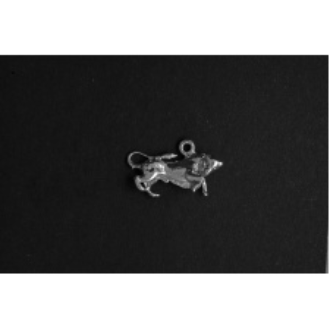 Sterrenbeeld Stier zilver
De bedel maat is in mm Lengte x Hoogte
± L 19.35 x H 11.20