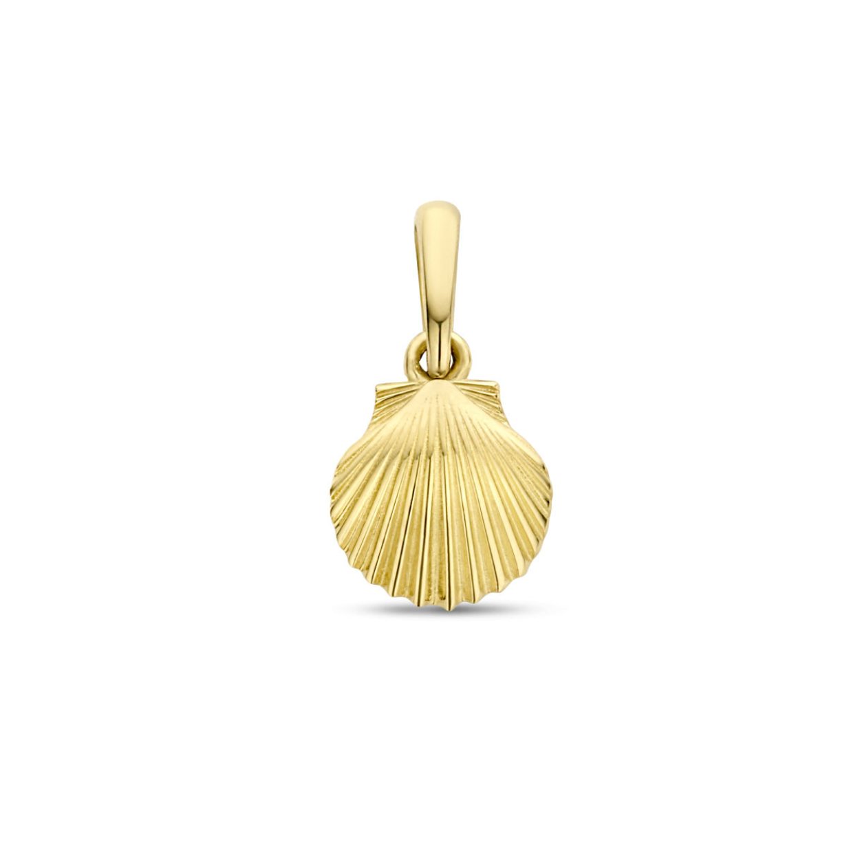 14k Geelgouden hanger met een schelp voorstelling. De hanger heeft een totale hoogte van 1.2cm.