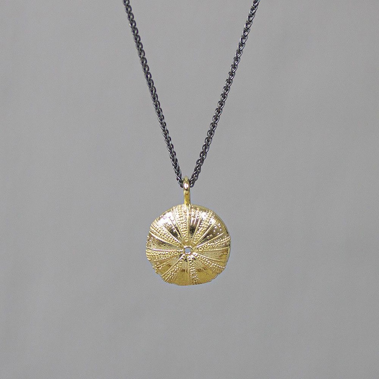 Hanger is van goud
Collier is van zilver