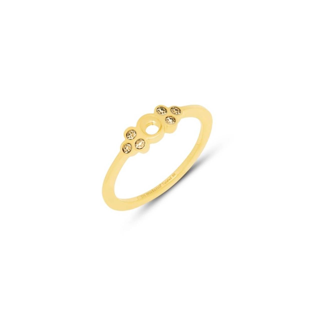Melano edelstaal TW Thera crystal gd sz56 TR24GDCR056
ring is zonder verwisselbare steen.