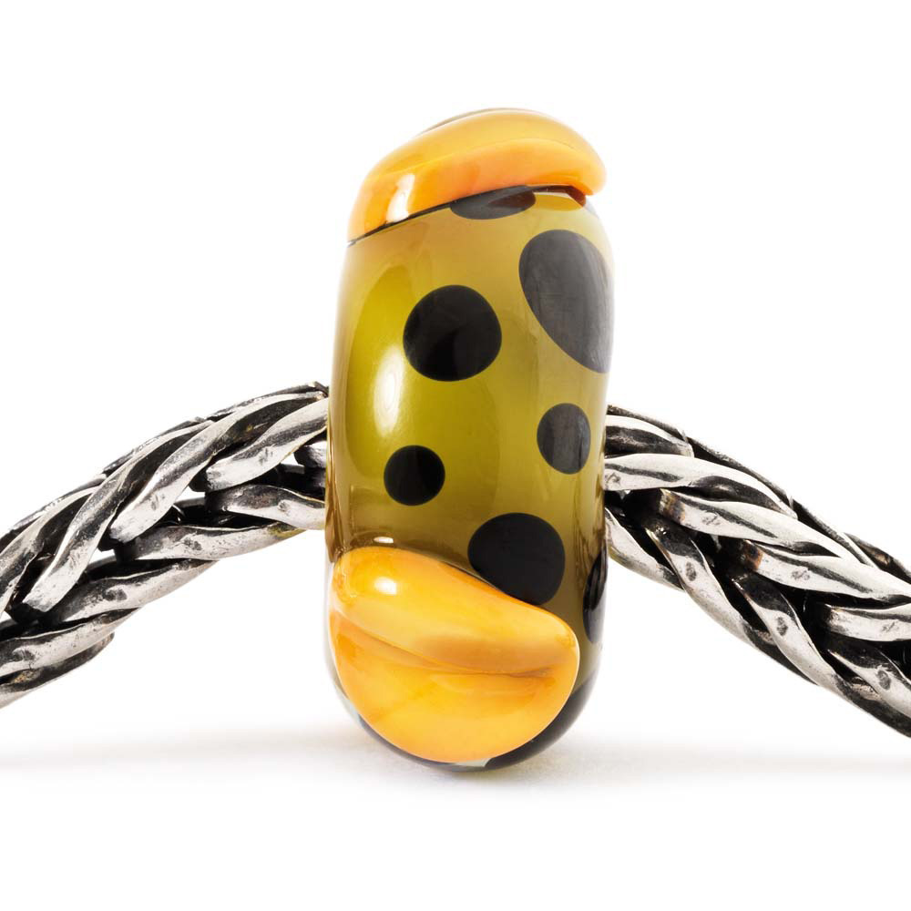 DE KLEUR VAN HET EEUWIGE LEVEN, WAAR BINNENIN EEN MYSTERIE SCHUILT, MET ONVERWACHTE VERRASSINGEN