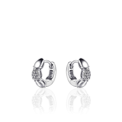 Zilver oorringen 