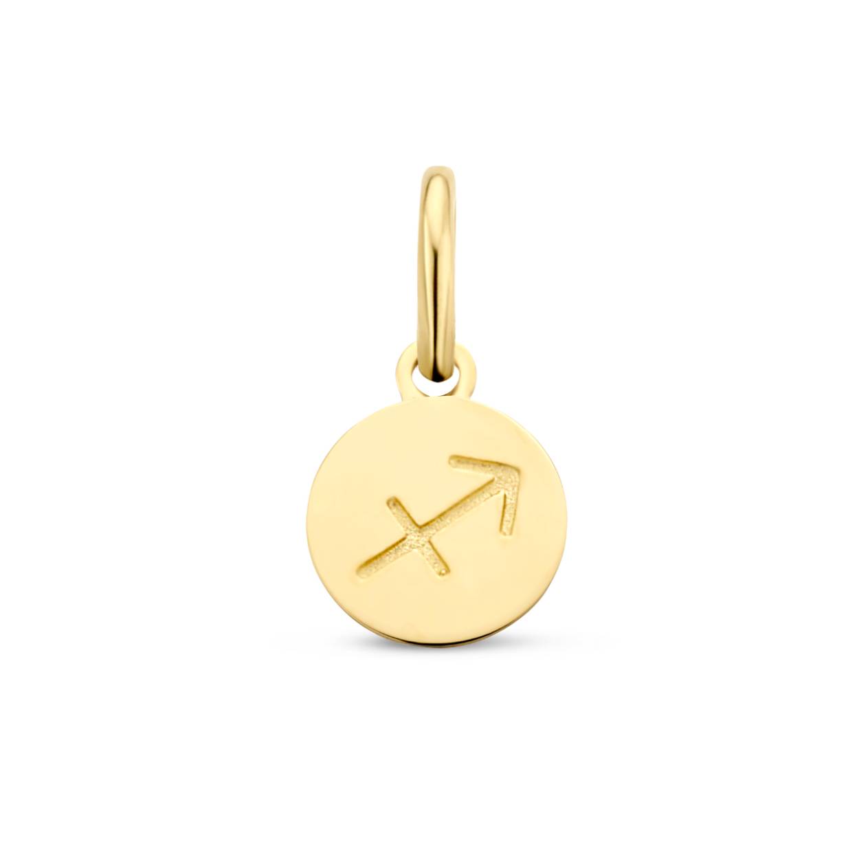 Gouden hanger horoscoop boogschutter op plaatje 6mm