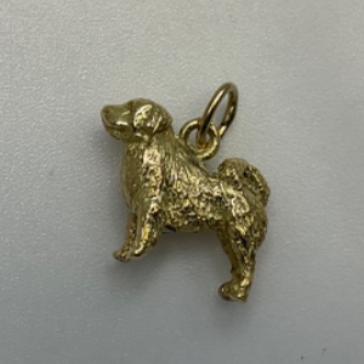 Gouden hanger hond met ruimte voor as, zwaar uitgevoerd 