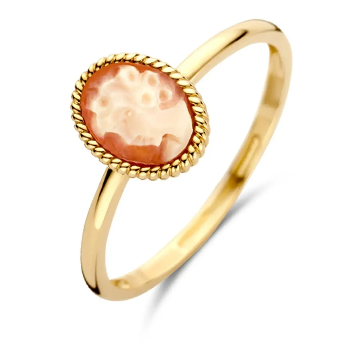 Ring van 14 karaat geelgoud met camee steen 1250YCA