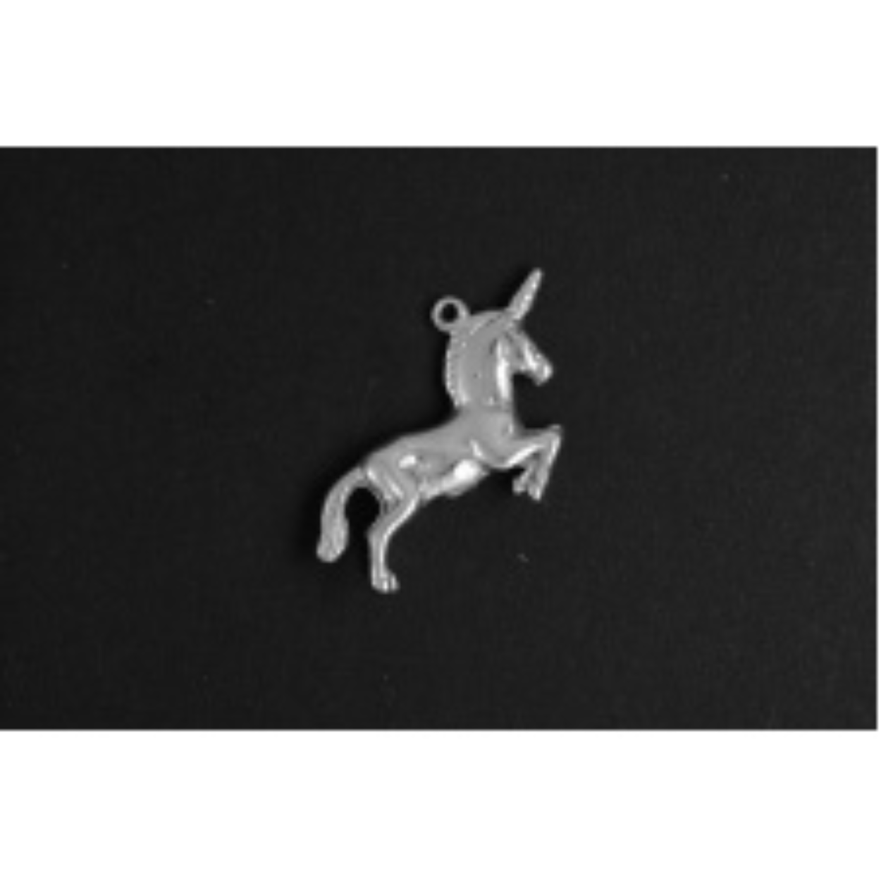 Unicorn zilver
De bedel maat is in mm Lengte x Hoogte
± L 26.34 x H 17.95