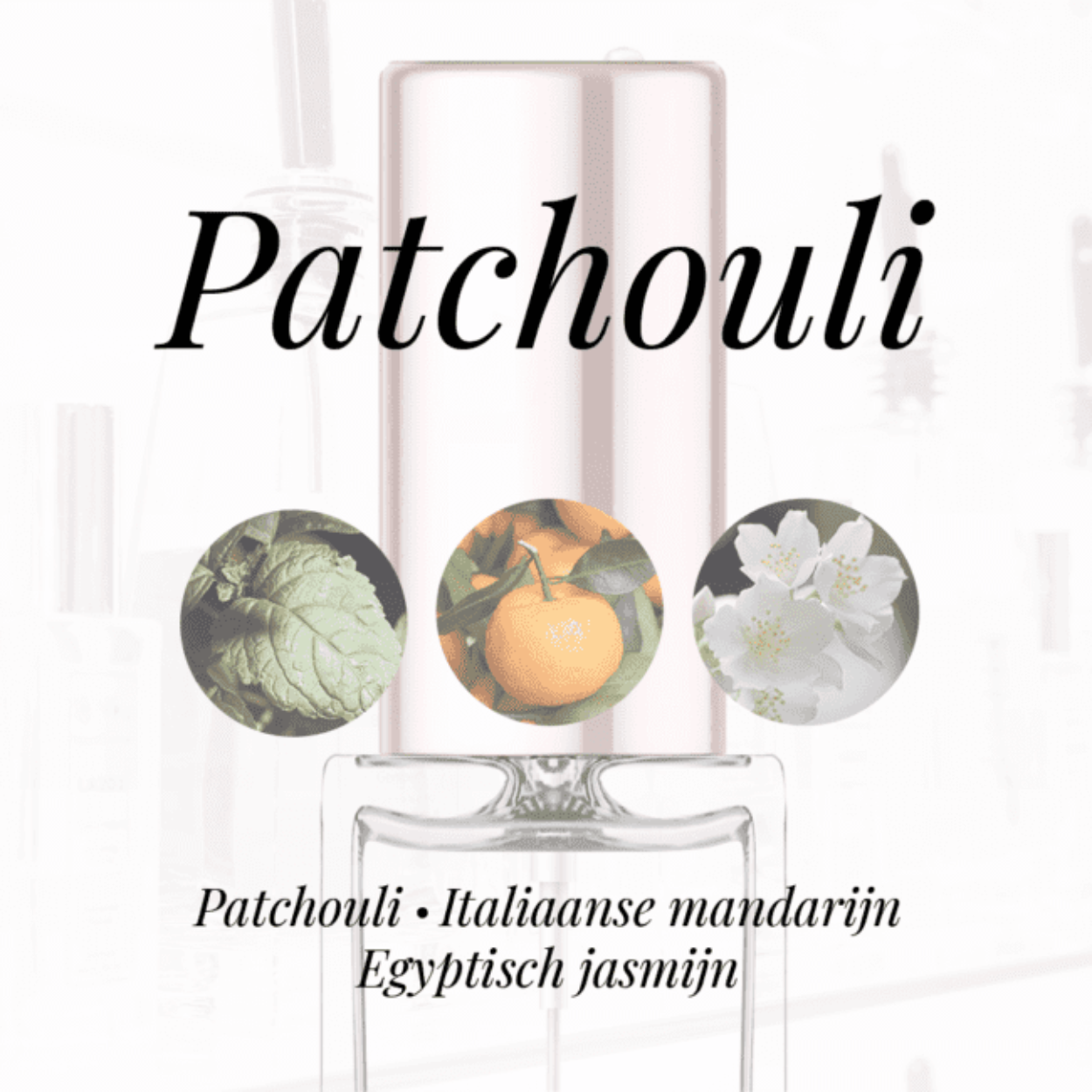 Eigenschappen
Geur: Patchouli
Waarneembare geuren: Egyptisch Jasmijn, Italiaanse mandarijn, Patchouli
Sillage: Midden
Seizoen: All season
Eigenschap: Charmant
Stijl: Romantisch
Geurgroep: Chypre bloemige
Hoofdakkoorden: Patchouli, Citrusvruchten, Witte bloemen, Roos, Warm kruidig
Top noten: Italiaanse mandarijn
Midden noten: Egyptische jasmijn en Roos
Basis noten: Patchouli en Muskus