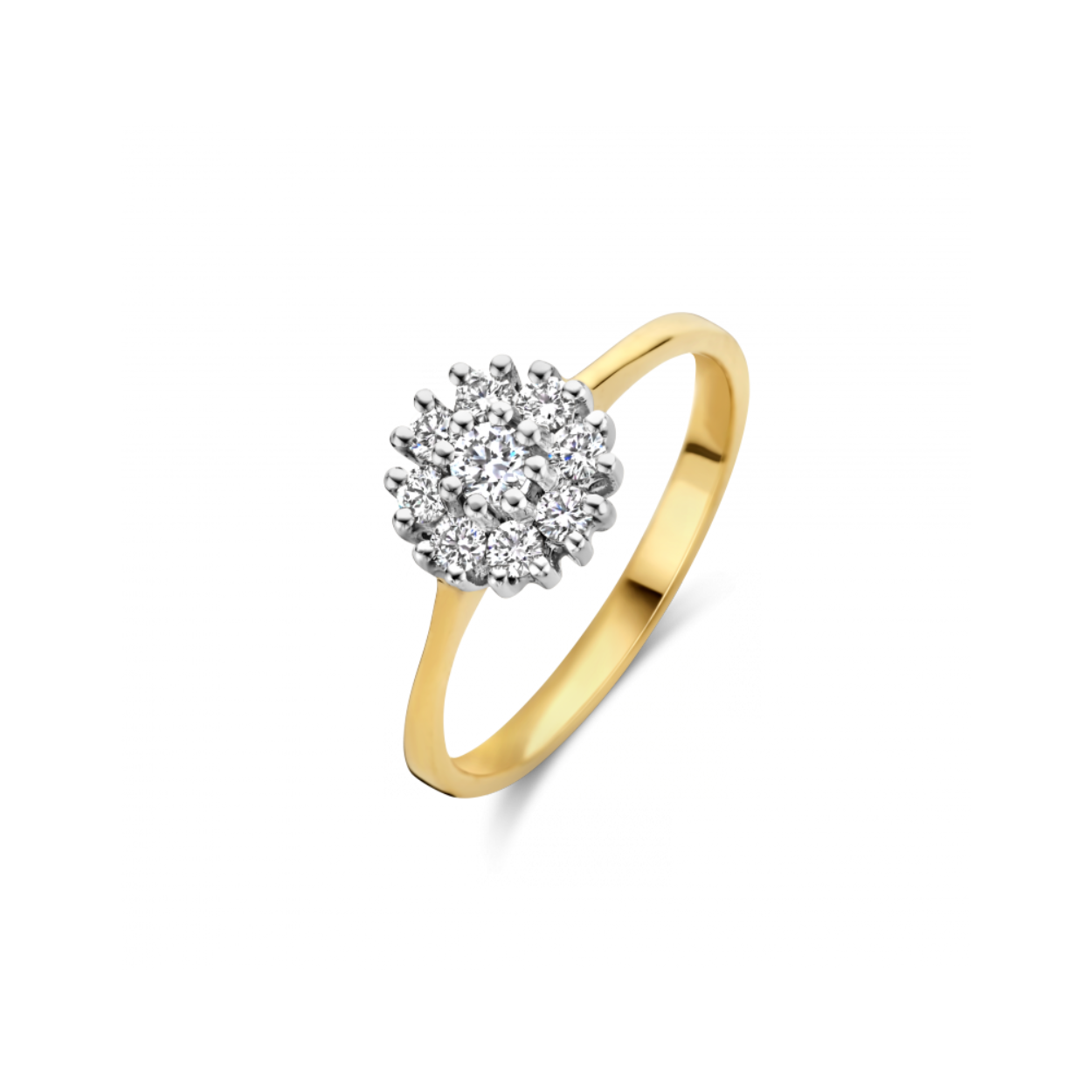 14krt Goud Ring Entourage 9-0,55crt H/SI