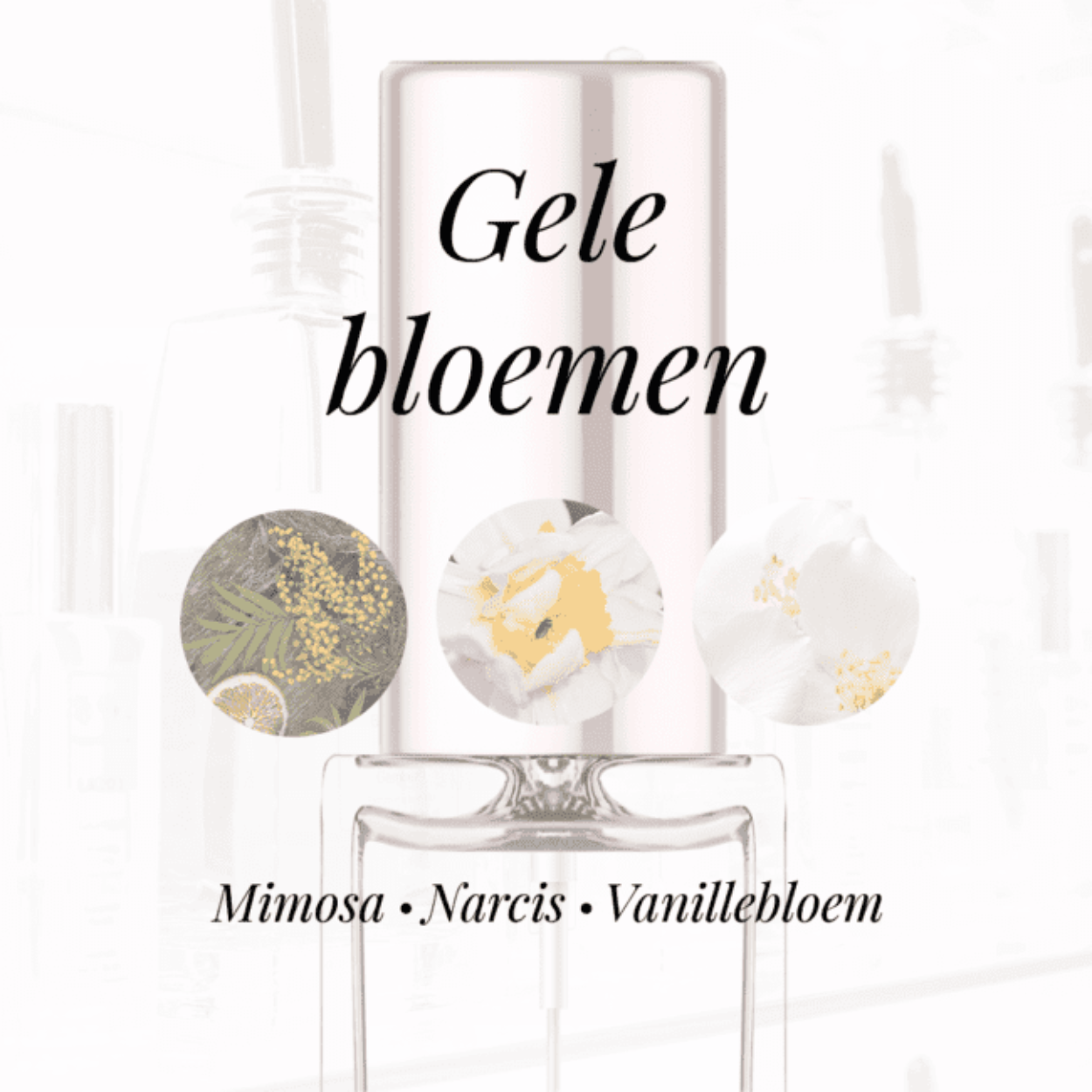 Eigenschappen
Geur: Gele bloemen
Waarneembare geuren: Mimosa, Narcis, Vanillebloem
Sillage: Zwaar
Seizoen: Herfst/Winter
Eigenschap: Charmant
Stijl: Elegant
Geurgroep: Bloemig Oriëntaalse
Hoofdakkoorden: Witte bloemen, Gele bloemen, Zoet, Bloemig, Poederig
Top noten: Zwarte bes, Himalaya papaver, Pruim, Groene noten, Mandarijn, Narcis, Perzik, Bergamot en Doornappel
Midden noten: Mimosa, Leder, Oranjebloesem, Fresia, Jasmijn, Heliotroop, Ylang-Ylang, Vanillebloem, Tuberoos en Roos
Basis noten: Tonkaboon, Amber, Muskus, Vanille, Oranjebloesem en Ceder