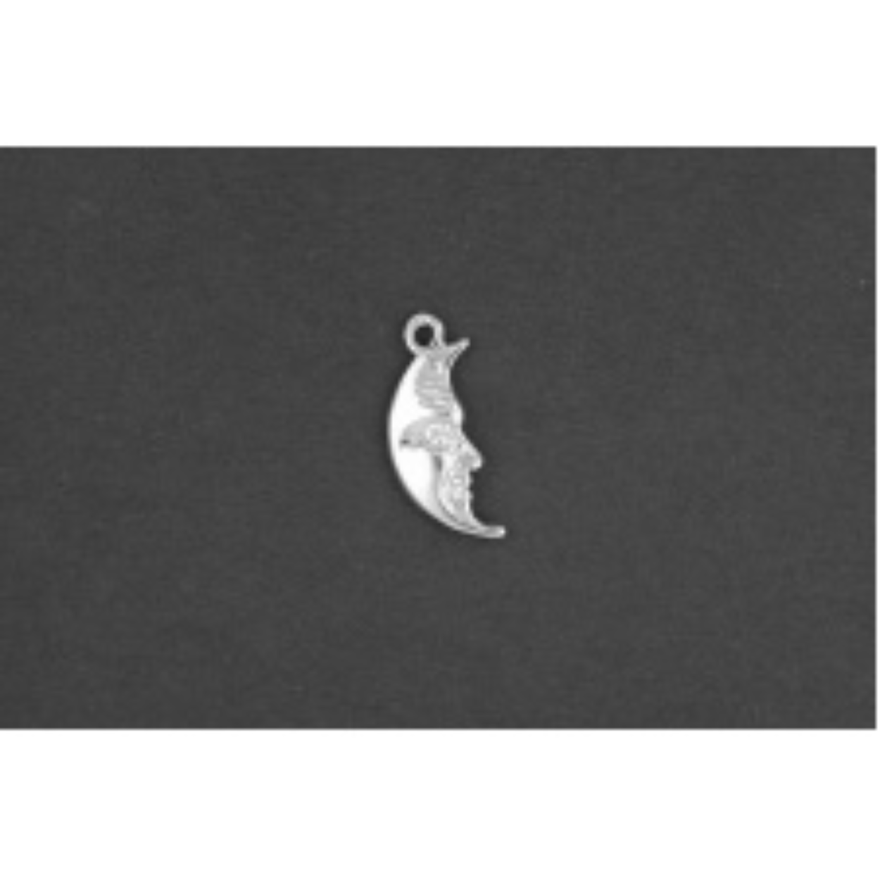 Maan zilver
De bedel maat is in mm Lengte x Hoogte
± L 7.77 x H 18.31