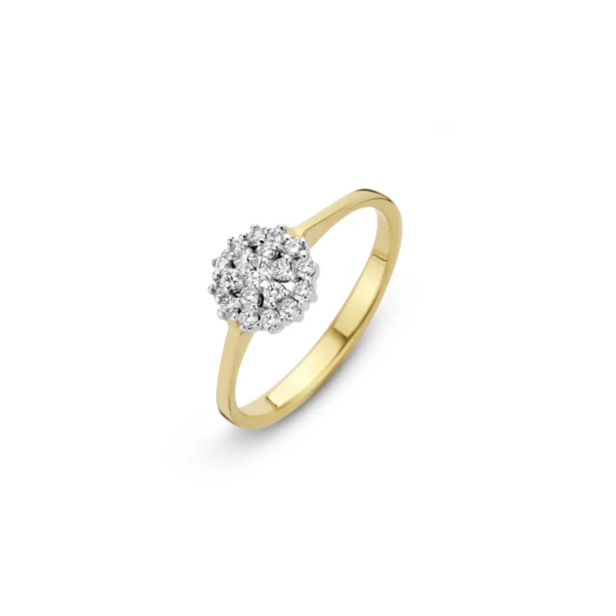 Groeibriljant dubbele entourage ring 0.25ct h/si 