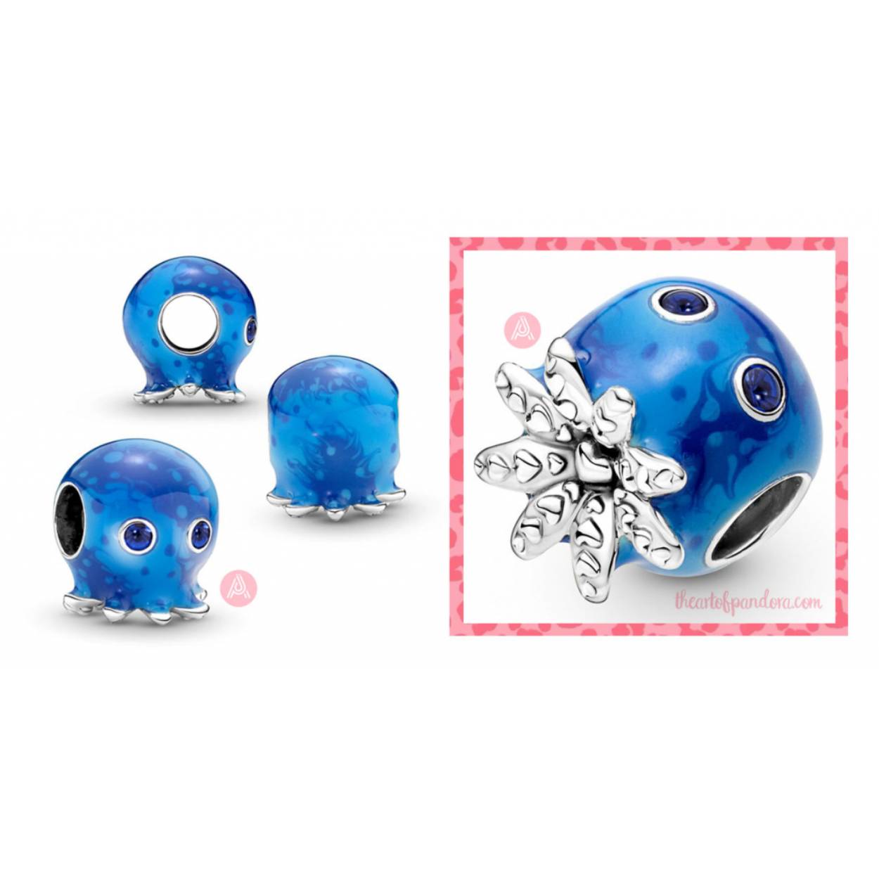 octopus bedel
