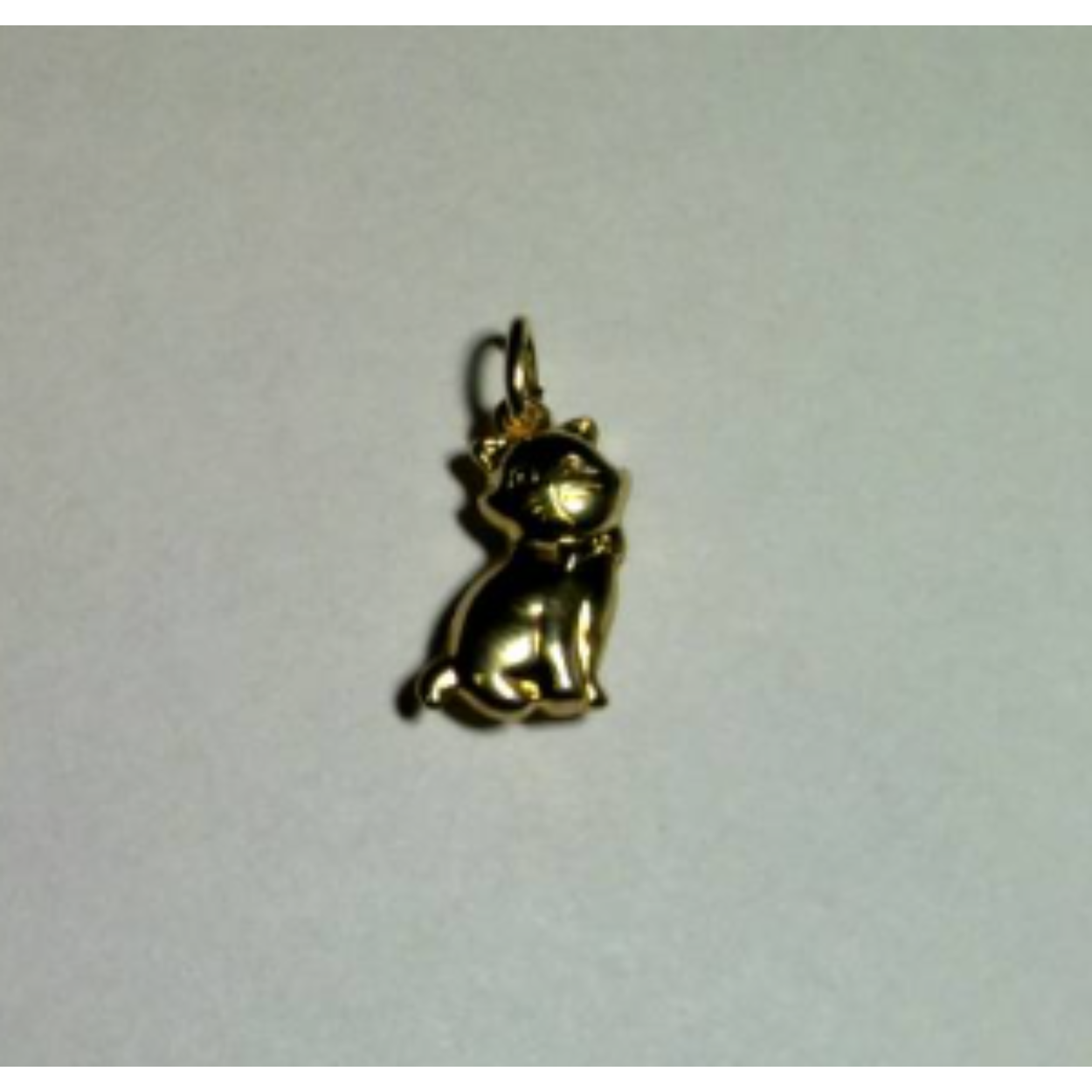 Gouden bedel poes