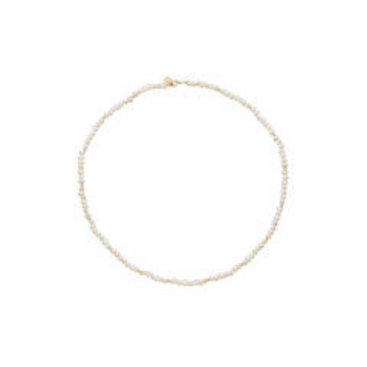 De Pearl Potion ketting is gemaakt van zoetwaterparels en 14 karaat goud. Combineer met de Pearl Potion armband en ga voor de perfecte parel set!

Tropical Paradise
Dat Jackie van reizen houdt is geen geheim. Voor haar 14 karaat gouden sieradencollectie heeft zij zich deze keer laten inspireren door de tropen.
Haar Tropical Paradise collectie biedt een mix van elegantie en avontuur. Voel de zon schijnen waar je ook bent!

Weelderige jungles, azuurblauwe oceanen en de schittering van de zon op witte zandstranden: de ontwerpen met edelstenen zijn een weerspiegeling van Jackie’s mooiste herinneringen. Of het een dag op kantoor is of een avondje uit, deze sieraden voegen een vleugje exotische allure toe aan elke gelegenheid.

Het merk
Jackie is hét 14 karaat gouden on trend sieradenmerk. De collecties zijn geïnspireerd op de reizen die ik maak, van stedentrips tot exotische oorden. Elk gouden sieraad is helemaal van nu, handgemaakt door Europese goudsmeden en vervaardigd van overwegend gerecycled goud met echte edelstenen en zoetwaterparels. Elke collectie is dan ook met veel liefde en passie samengesteld. Mijn Jackie sieraden zijn de perfecte finishing touch voor iedere outfit!

Specificaties
- Ketting Parels
- Materiaal: 14 Karaat - Geelgoud - 585
- Lengte 42cm