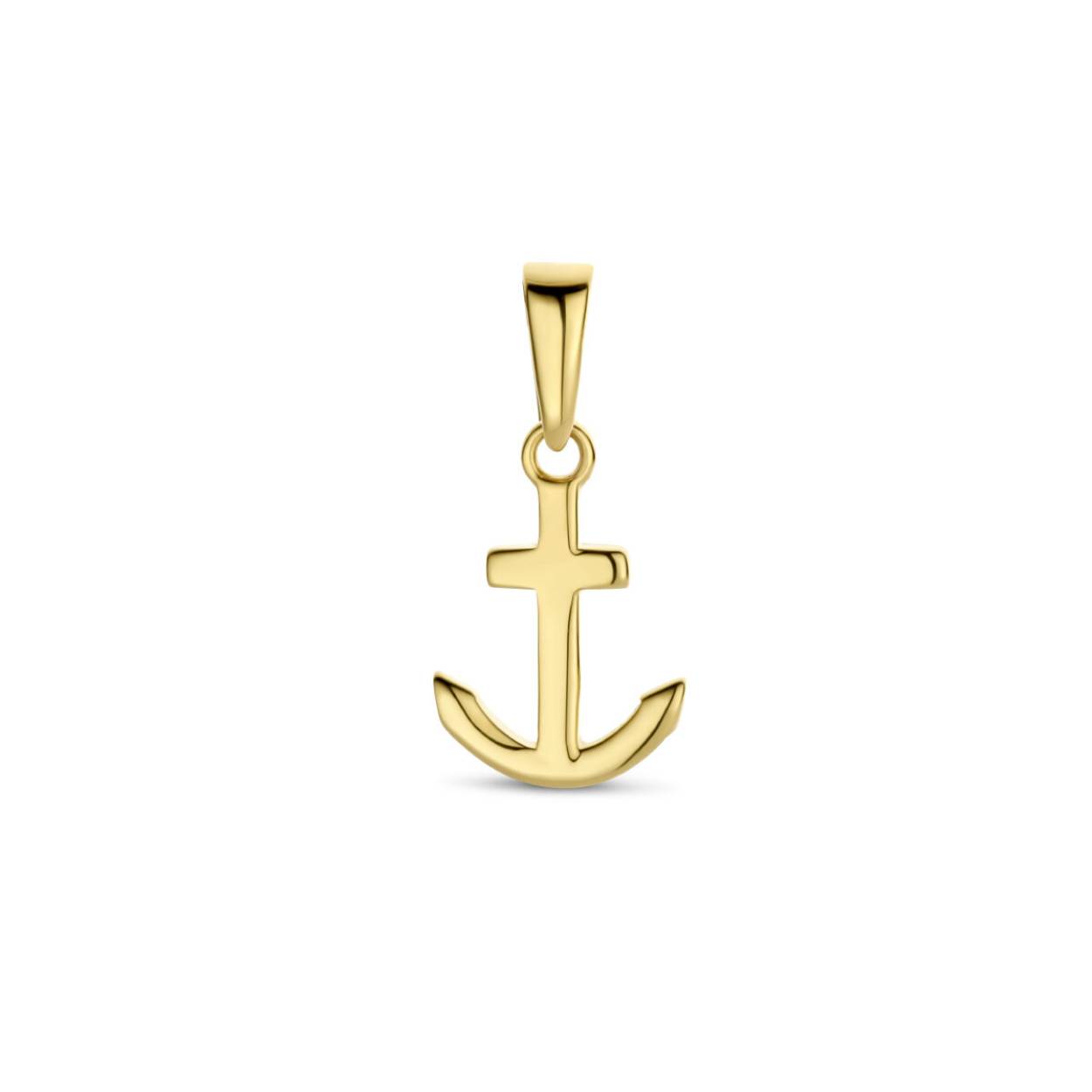 Gouden Hanger/Bedel Anker