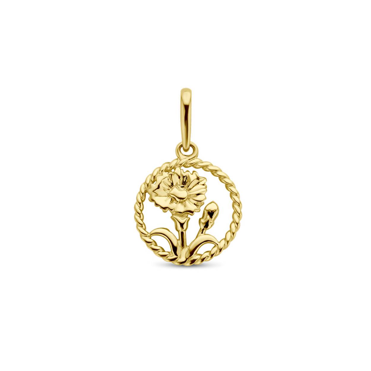 14k Geelgouden hanger met een geboortebloem. De hanger heeft een totale hoogte van 17mm. Maand januari, anjer