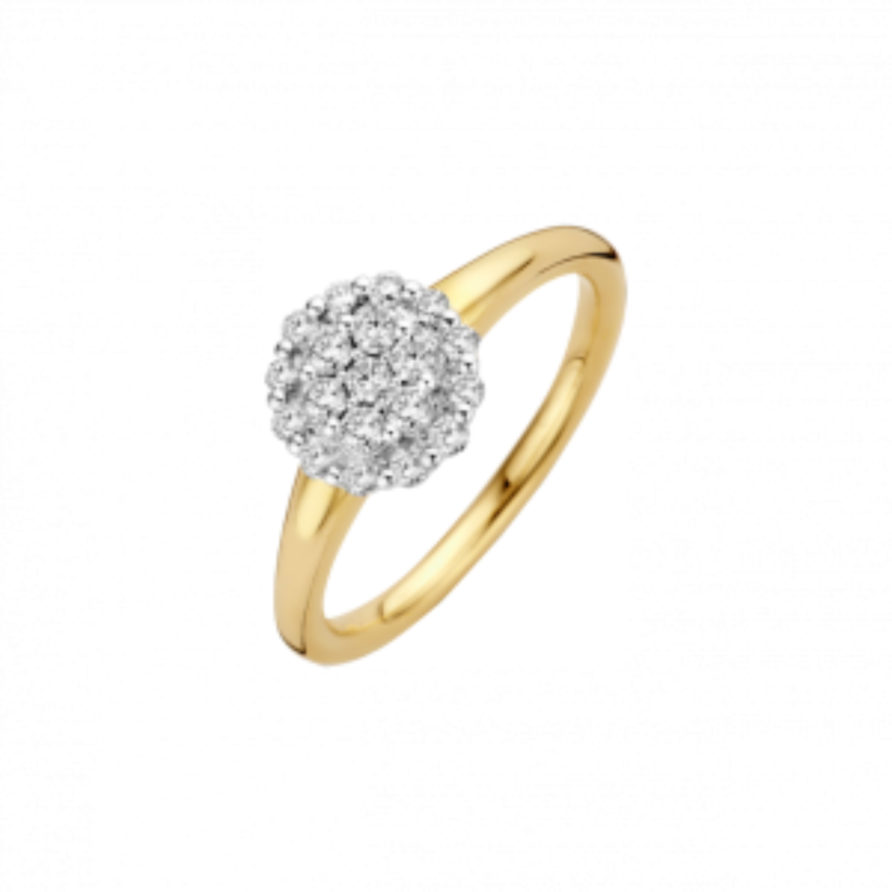 Sieraden uit de serie VITA hebben een elegante weelderige uitstraling. Door de in entourage gezette briljanten schitteren de sieraden prachtig. 