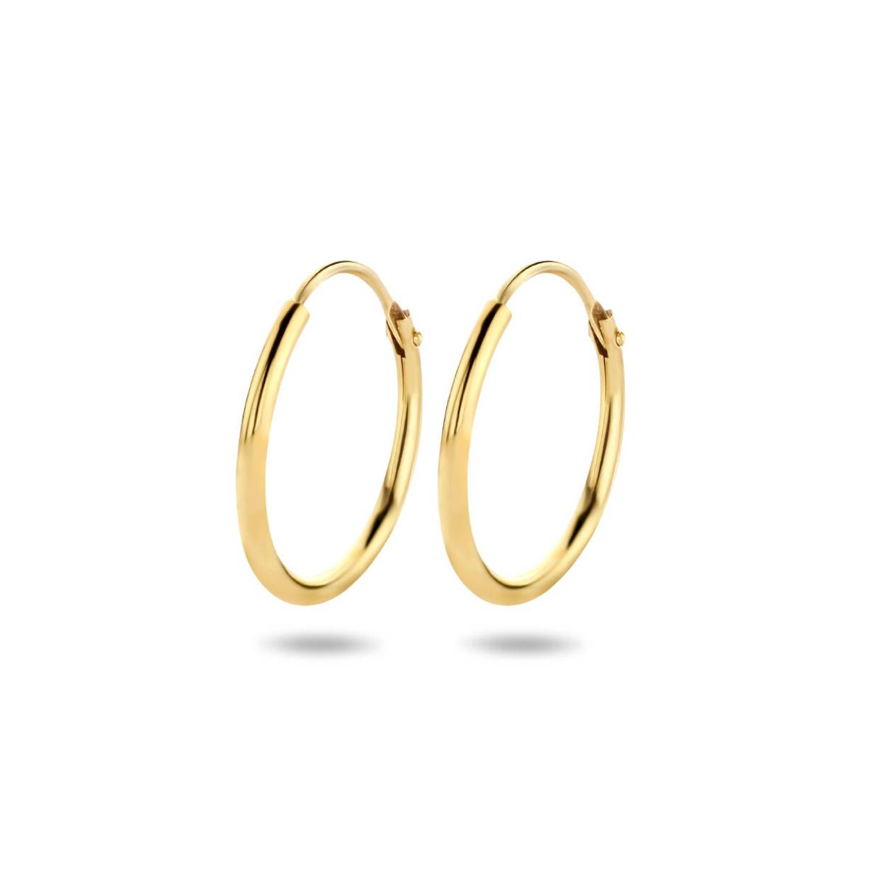 Geelgouden oorringen met een ronde buis.
