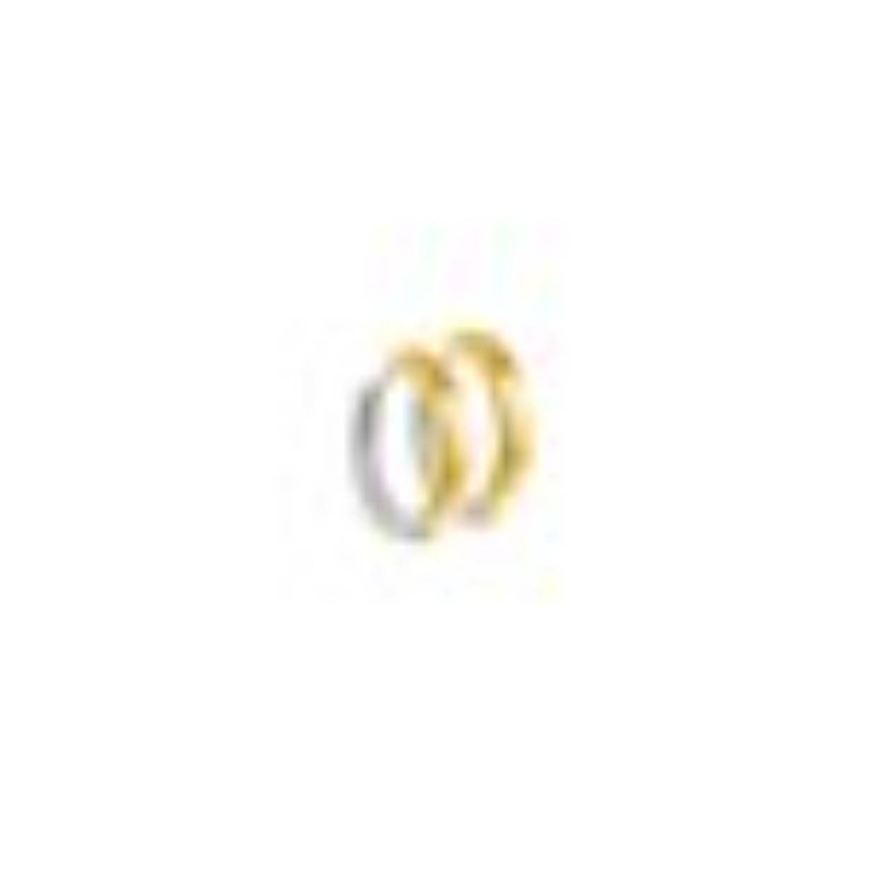 14k geel/wit gouden klapcreool vlak