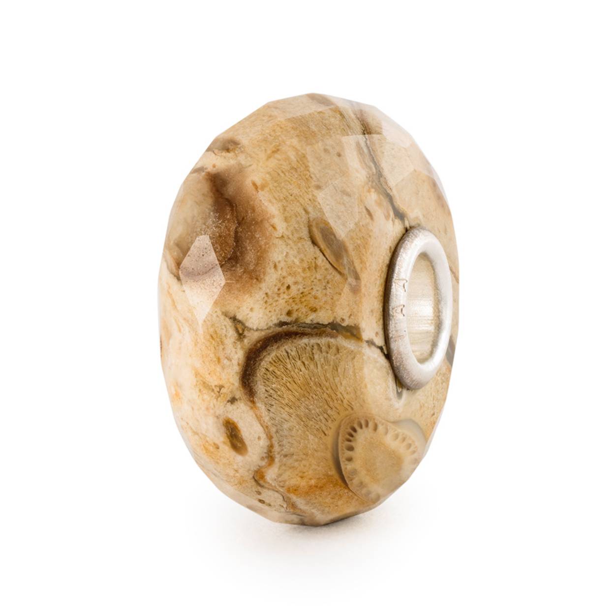 Gefossiliseerd hout heeft gedurende miljoenen jaren een mineralisatieproces ondergaan. Het zal je emoties aarden en een gevoel van vrede bevorderen.