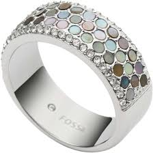 Fossil ring zirkonia