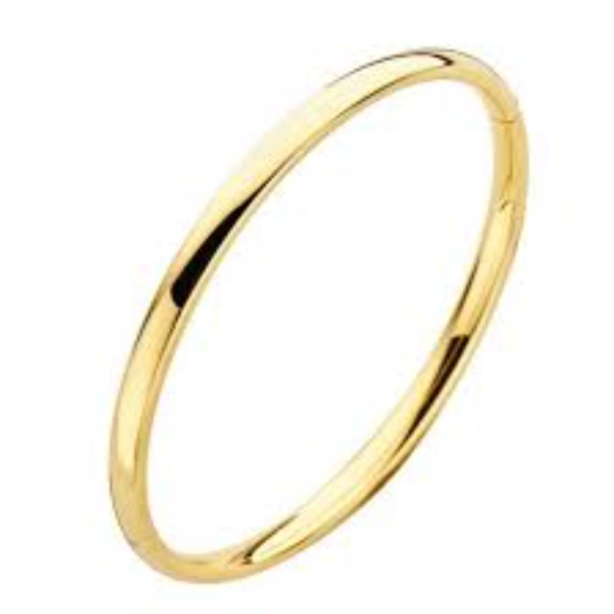 Fjory 40-A356104 gouden bangle breedte 4 mm doorsnede 61 mm met zilveren kern