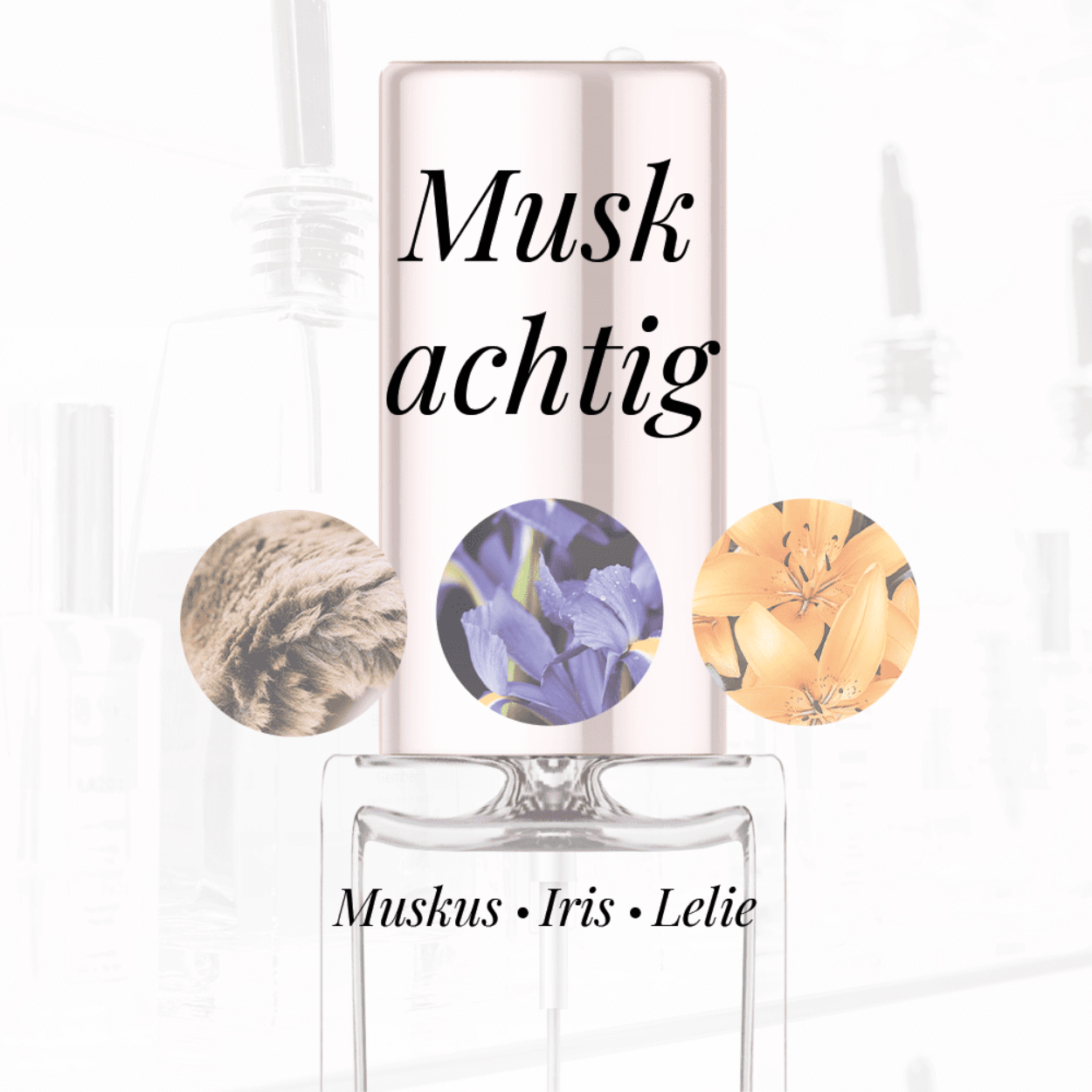 Eigenschappen
Geur: Muskachtig
Waarneembare geuren: Iris, Lelie, Muskus
Sillage: Midden
Seizoen: All season
Eigenschap: Comfort
Stijl: Trendy
Geurgroep: Bloemig Houtachtig Musk
Hoofdakkoorden: Muskachtig, Witte bloemen, Houtachtig, Poederig, Bloemig, Groen
Top noten: Lelie, Muskus, Galbanum, Basilicum en Ylang-Ylang
Midden noten: Lelie, Muskus, Jasmijn en Roos
Basis noten: Iris, Amber, Patchouli, Muskus, Vanille, Perzik, Jasmijn, Eikenmos, Vetiver en Roos
