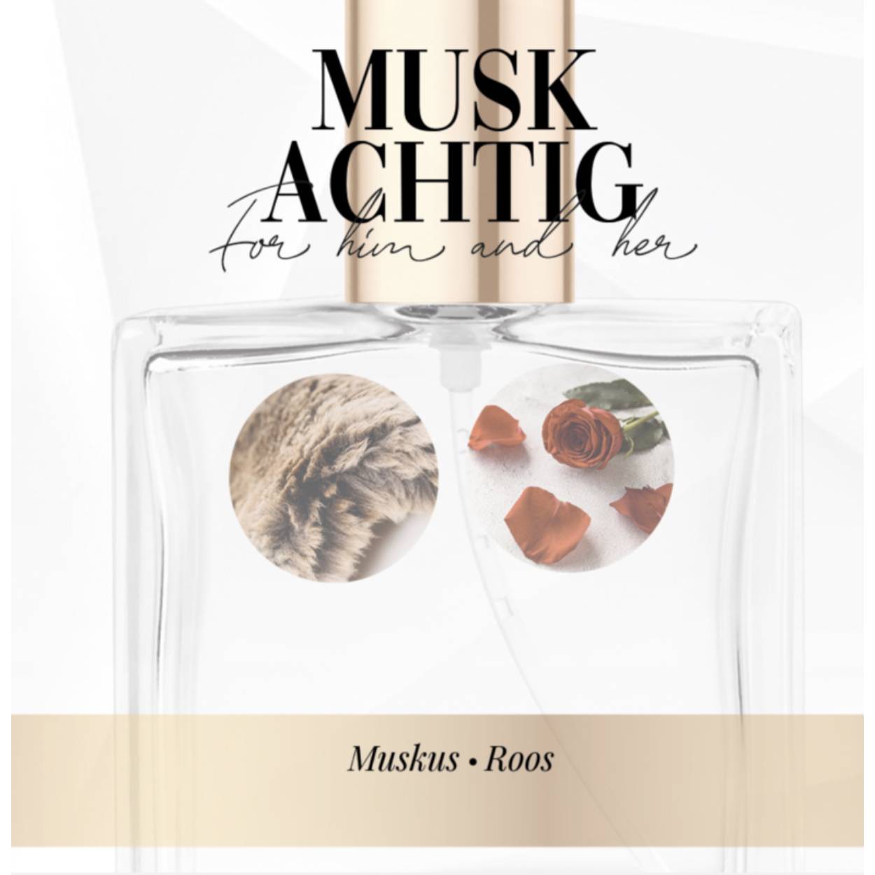 Topnoten zijn Appel, Bergamot en Citroen
Hartnoten zijn Patchouli, Roos en Jasmijn
Basisnoten zijn Witte Musk, Poederachtige Noten en Amber.