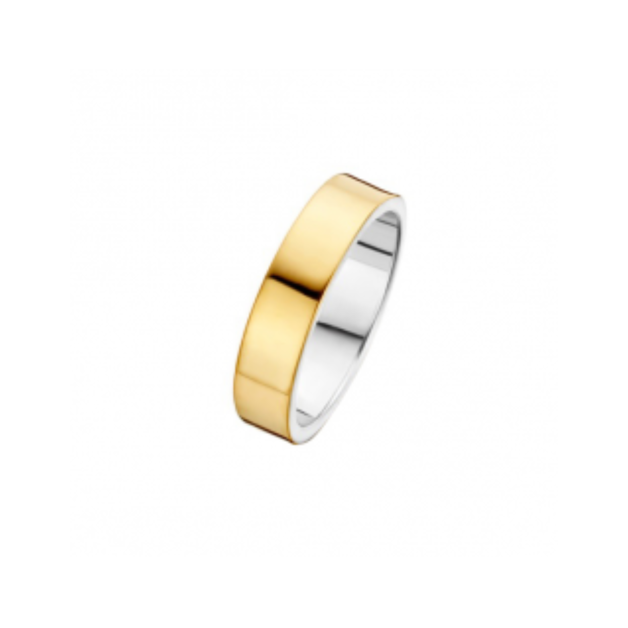 Fjory sieraden zijn gouden sieraden met een zilveren kern.  
Buitenkant dik 14 karaat goud.  
Voorheen werden dergelijke sieraden hol gemaakt.  Daardoor zwak en snel stuk.  
De fjory sieraden zijn door de zilveren kern massief, en mogen volgens de nederlandse wet als gouden sieraad verkocht worden.  

De sieraden zijn herkenbaar aan het waarborg stempel voor goud en zilver.  Fjory  gouden sieraden staan voor jaren draag plezier zonder deuken en vervorming, voor een aantrekkelijke prijs.
