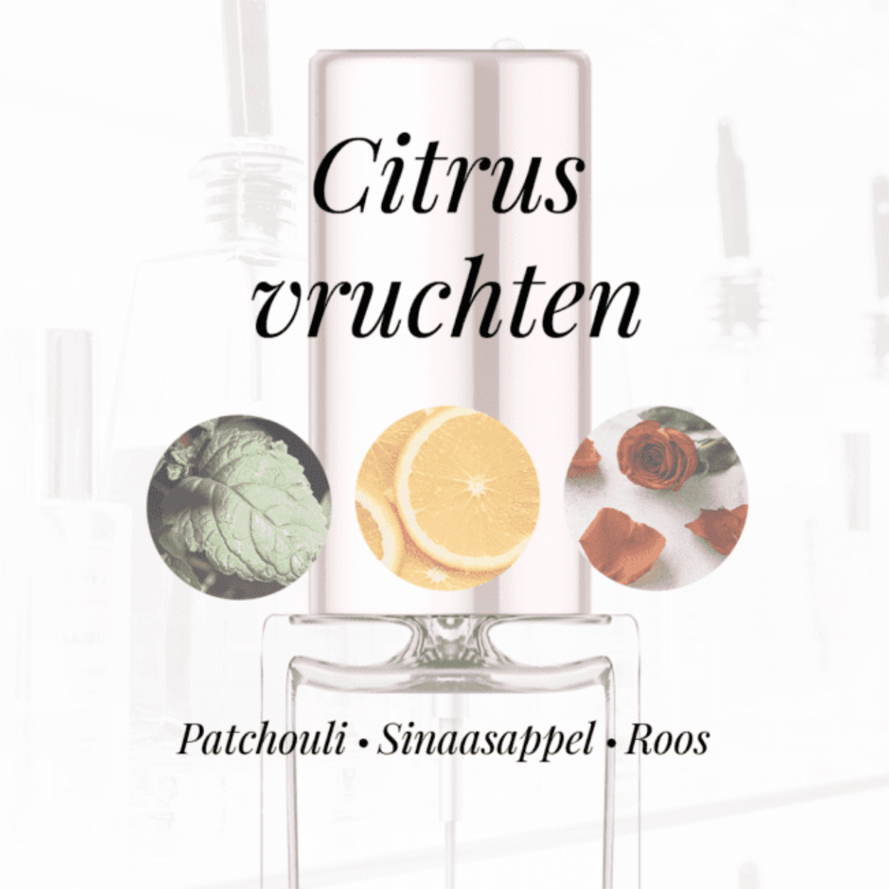 Eigenschappen
Geur: Citrusvruchten
Waarneembare geuren: Patchouli, Roos, Sinaasappel
Sillage: Zwaar
Seizoen: All season
Eigenschap: Sexy
Stijl: Stoer
Geurgroep: Oriëntaals Bloemige
Hoofdakkoorden: Citrusvruchten, Witte bloemen, Patchouli, Zoet, Balsemachtig, Roos
Top noten: Sinaasappel, Mandarijn, Oranjebloesem en Bergamot
Midden noten: Mimosa, Jasmijn, Turkse roos en Ylang-Ylang
Basis noten: Tonkaboon, Patchouli, Opoponax, Vanille, Vetiver en Witte musk