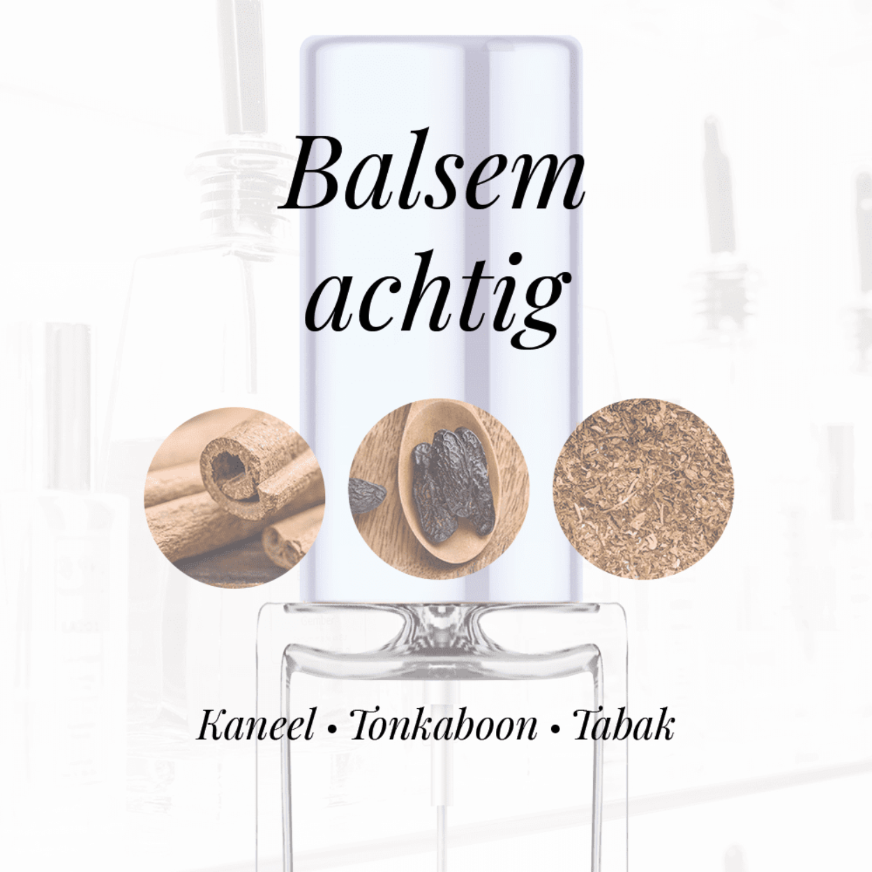 Eigenschappen
Geur: Balsemachtig
Waarneembare geuren: Kaneel, Tabak, Tonkaboon
Sillage: Midden
Seizoen: Herfst/Winter
Eigenschap: Charmant
Stijl: Stoer
Geurgroep: Oriëntaals Houtachtig
Hoofdakkoorden: Balsemachtig, Warm kruidig, Kaneel, Zoet, Tabak, Aromatisch
Top noten: Bloed mandarijn en Kaneel
Midden noten: Tabak en Mirre
Basis noten: Patchouli en Tonkaboon