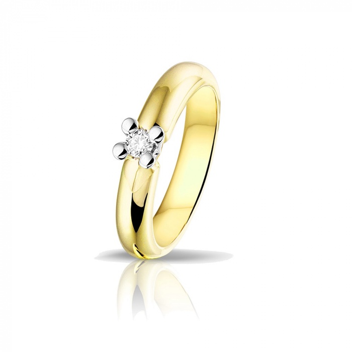 Deze mooie ring van PAS Diamonds is uitgevoerd in 14 kt. geelgoud en is afgewerkt met een grote diamant, welke wordt omsloten met vier witgouden zetpoten. Met een totaal van 0,09 ct. H IS aan diamant! 

Breedte ring: 4 mm.