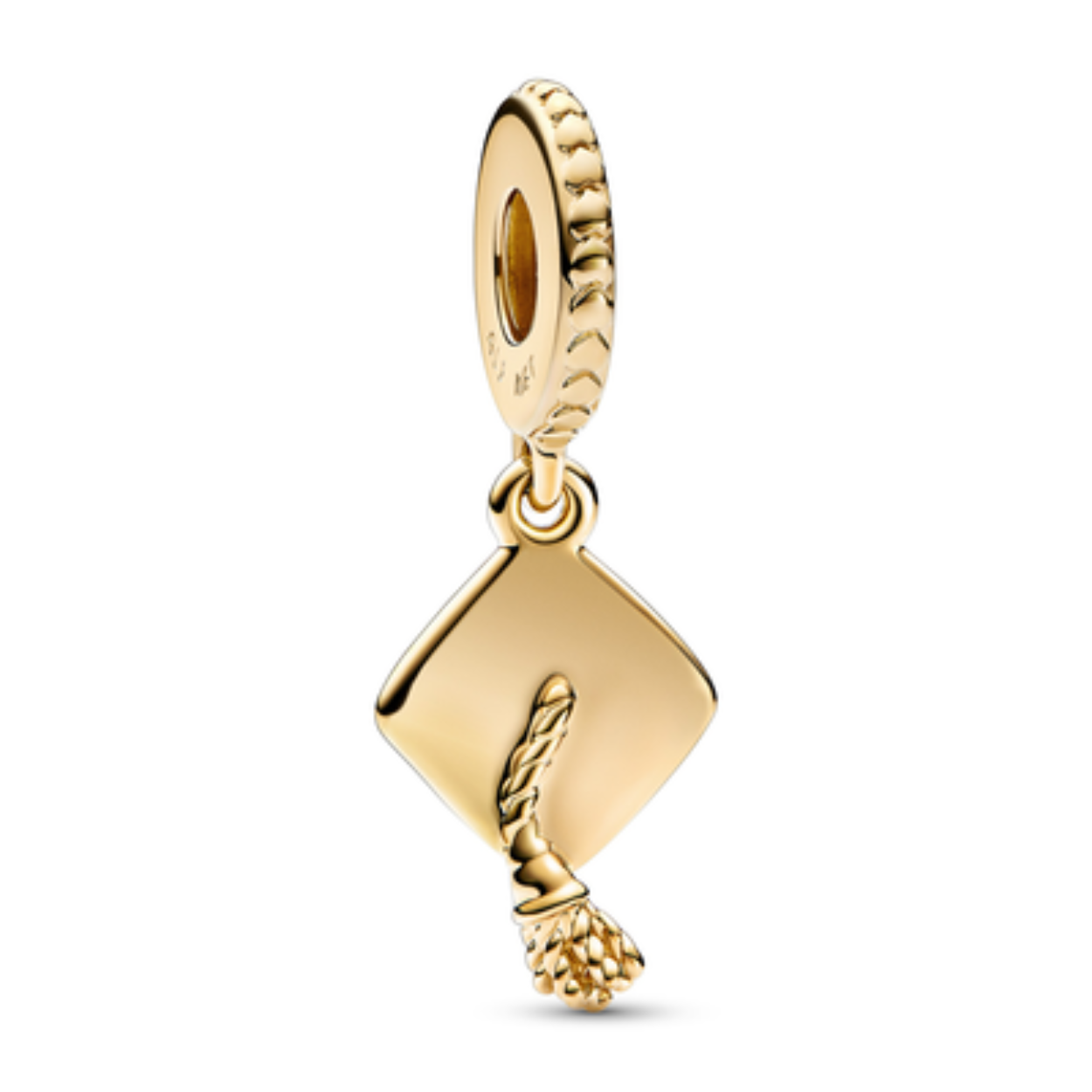Vier hun harde werk en toewijding met de Afstudeercap hangende bedel. Deze met 14k goud vergulde hangende bedel heeft een afstudeercap met een realistisch gegroefd kwastje en de inscriptie 'Hard work pays off' in de cap. De hanger is versierd met een patroon van verhoogde harten. Het perfecte sieraad voor als die pas afgestudeerden om hen te feliciteren met hun prestatie en hen te herinneren aan hun potentieel, wat ze ook willen doen.