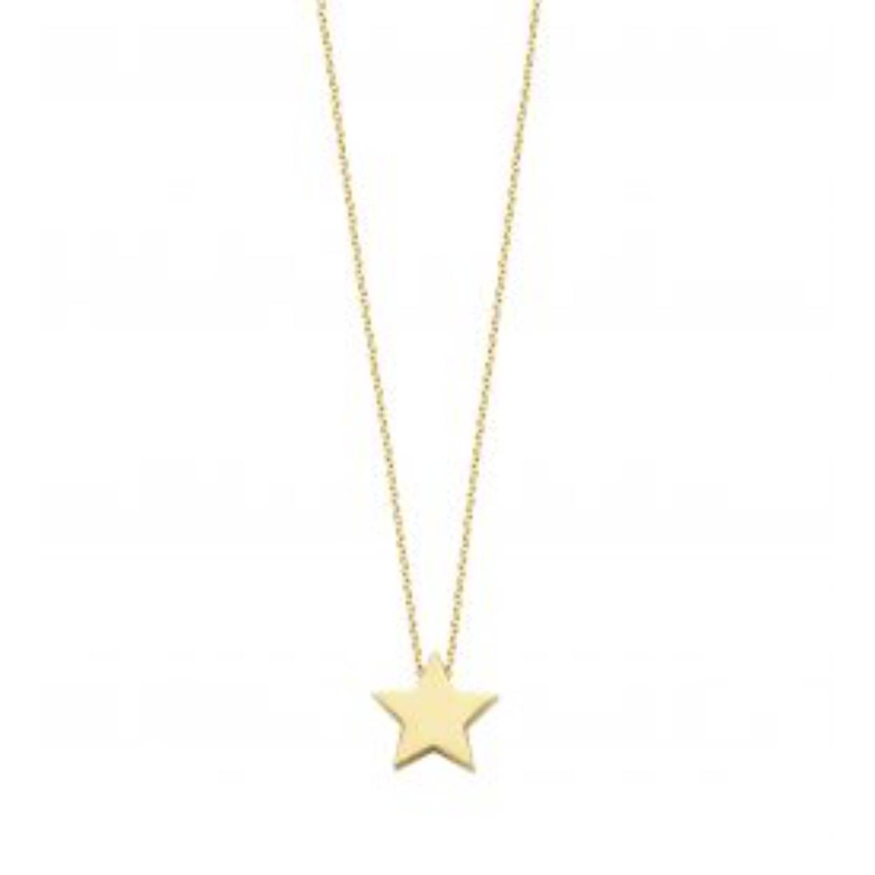 ashes necklace star small 39-40-41cm