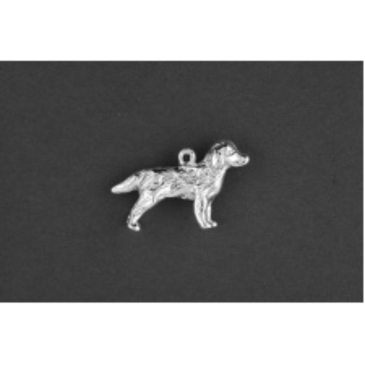 De Golden Retriever pendant, model 401145Z, is een sierlijke zilveren hanger. Uitgevoerd in de kleur zilver, weegt hij 5,06 gram. Dit sieraad past perfect aan een subtiele zilveren ketting en voegt elegantie toe aan elke outfit. Draag het casual of formeel voor een tijdloze en verfijnde uitstraling.