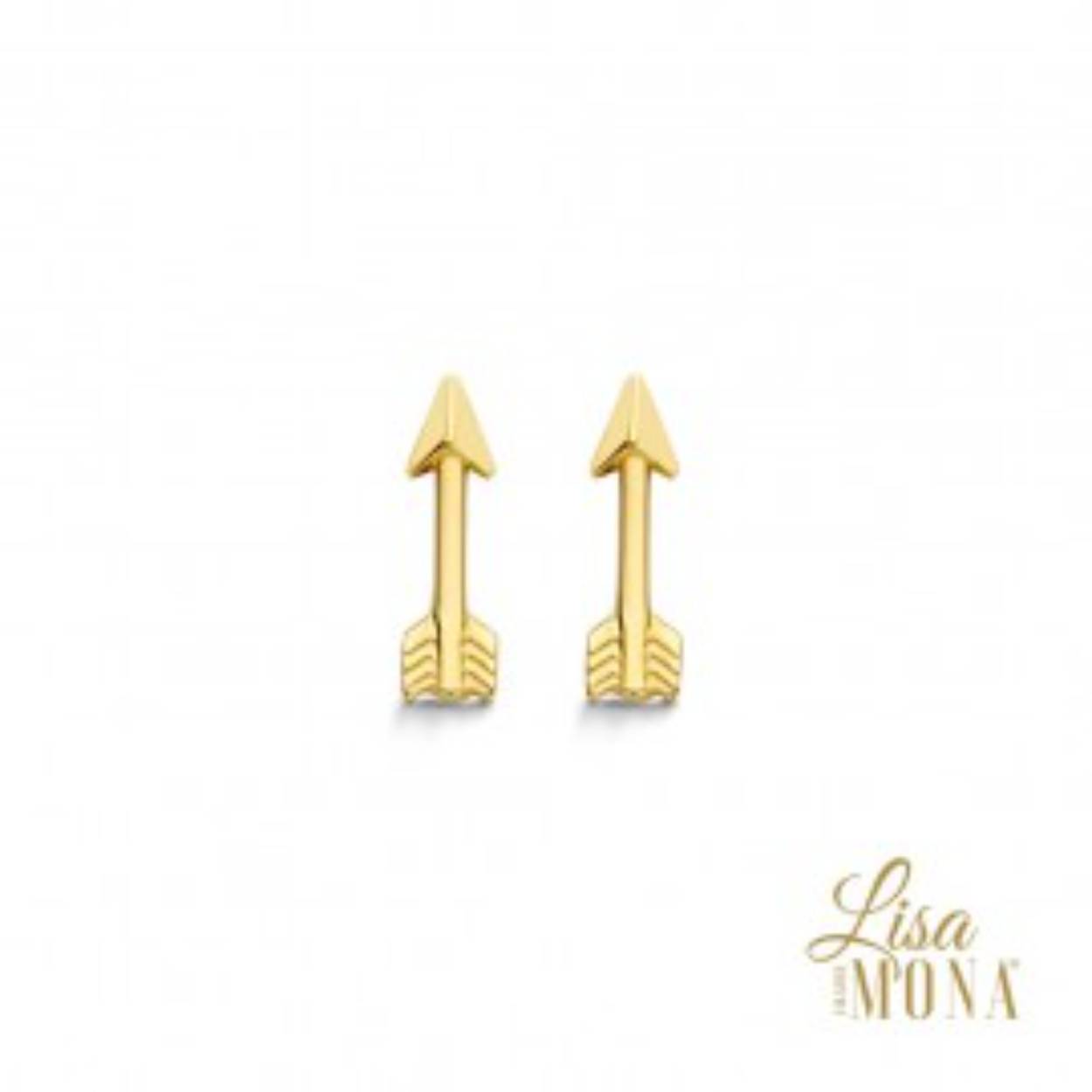 Lisa Mona oorstekers 14k pijl 