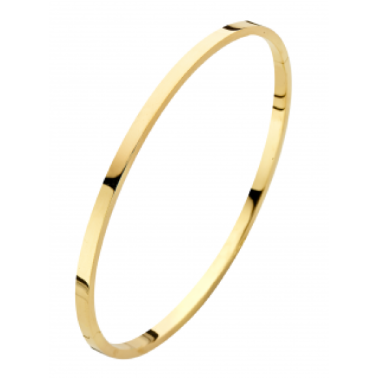 40-A386103  Fjory gouden Bangle armband zilver kern