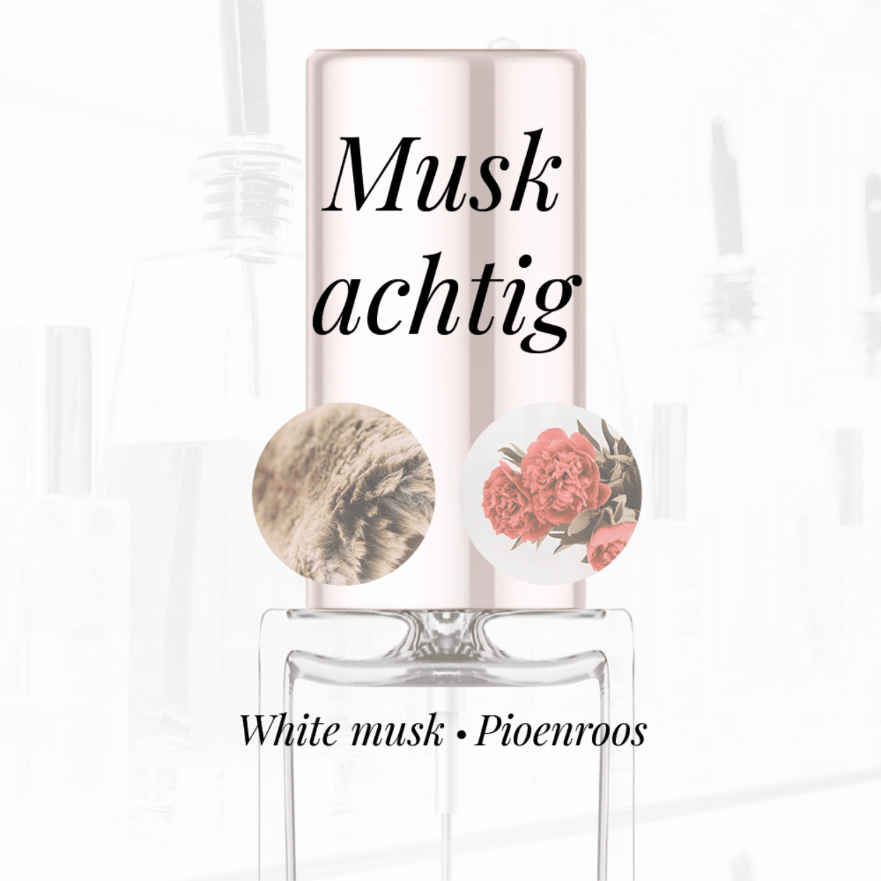 Eigenschappen
Geur: Muskachtig
Waarneembare geuren: Pioenroos, White Musk
Sillage: Midden
Seizoen: All season
Eigenschap: Charmant
Stijl: Casual
Geurgroep: Bloemig Houtachtige Musk
Hoofdakkoorden: Bloemig, Muskachtig, Witte bloemen, Fris, Groen, Balsemachtig
Top noten: Pruim, Groene noten, Fresia, Perzik, Pioenroos en Witte musk
Midden noten: Gras, Lelie, Jasmijn, Ylang-Ylang , Lelietje-van-dalen en Roos
Basis noten: Koriander, Sandelhout, Tonkaboon, Vanille, Koffie, Wierook en Ceder