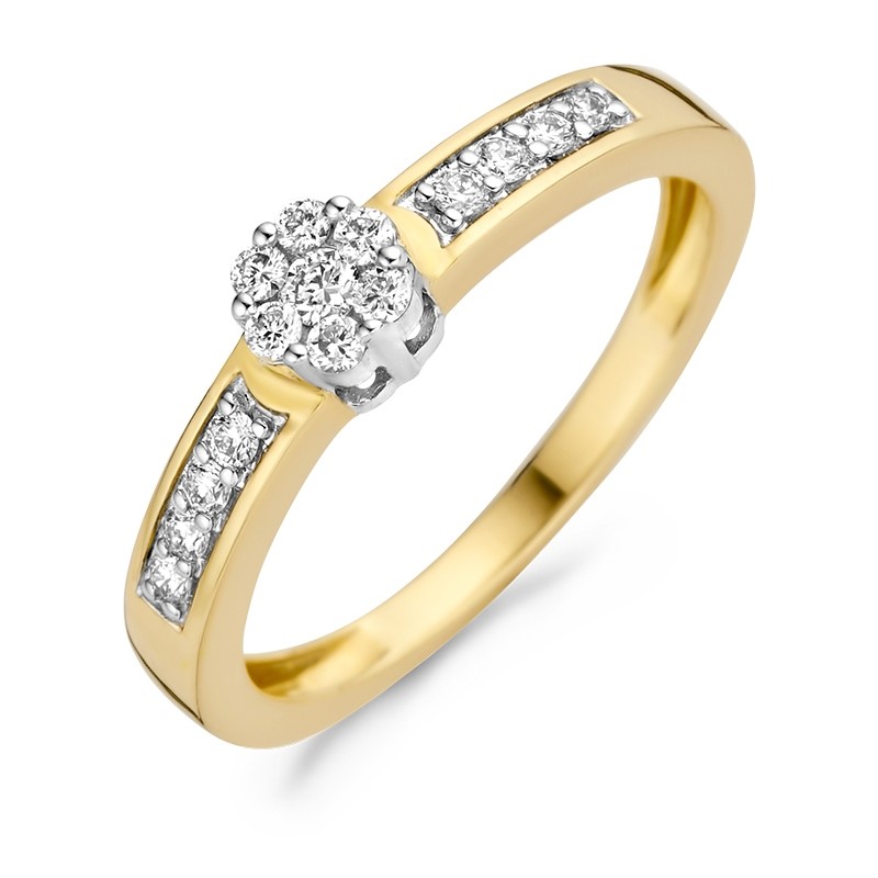 Briljant geslepen diamanten sieren deze ring van 14k geel- en witgoud. De grote diamant heeft een karaatgewicht van 0,25, de kleine diamanten zijn gezet in de band van de ring die een doorsnee heeft van 3 mm. Prachtig op zichzelf of samen met andere ringen uit onze collectie.

