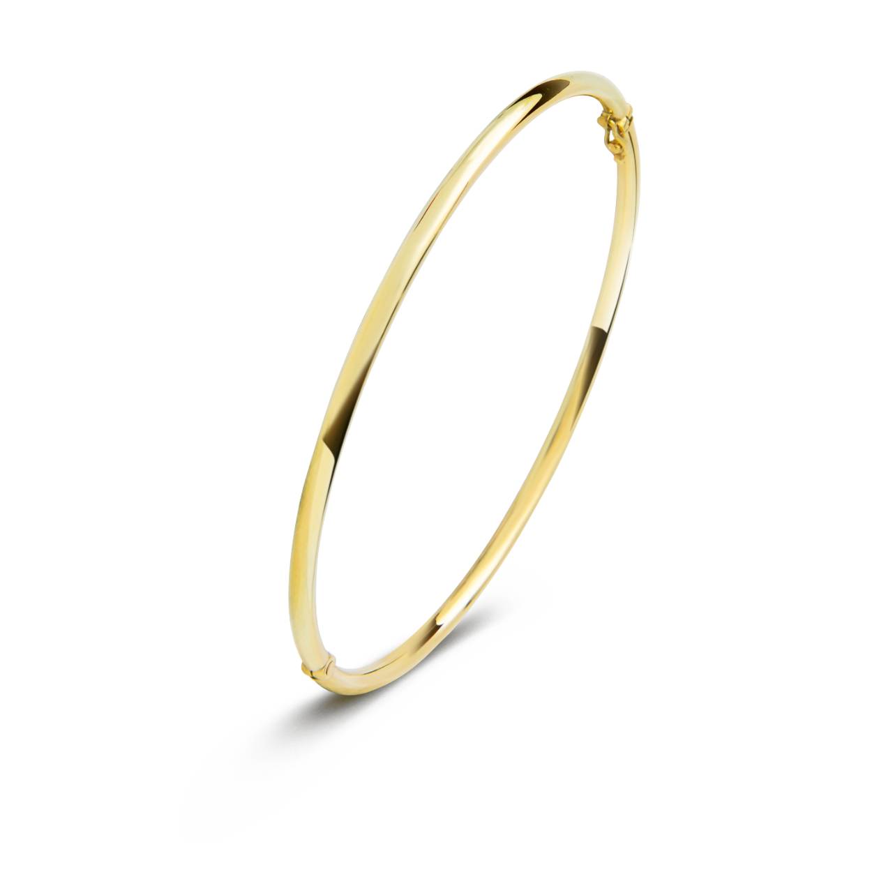 De FJORY bangle, modelnummer 40-A30XX025, biedt een elegante touch aan elke outfit. Gemaakt van goud met zilveren kern, weegt hij 9,2 gram. Met een diameter van 61 mm en afmetingen van 2,5 mm in hoogte, breedte en diepte, is deze slavenarmband ideaal om solo te dragen of te combineren met andere sieraden voor een gelaagde look.