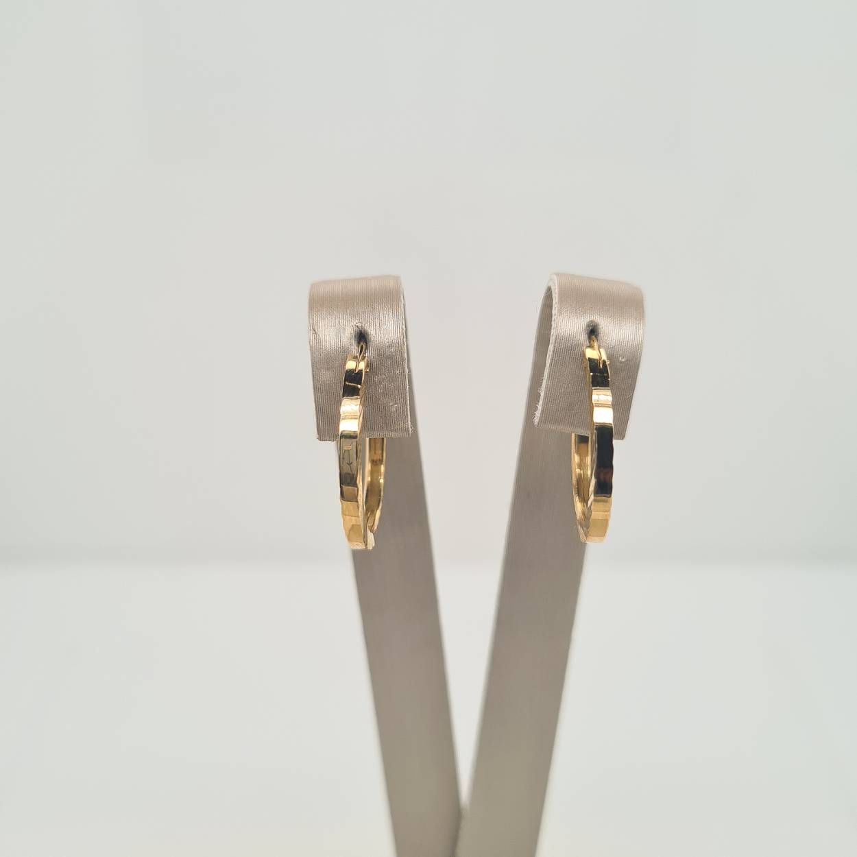 14krt geelgouden creolen met een vierkante gediamanteerde buis en een scharnier-sluiting.
Dikte: 1,6 mm
Diameter: 16 mm