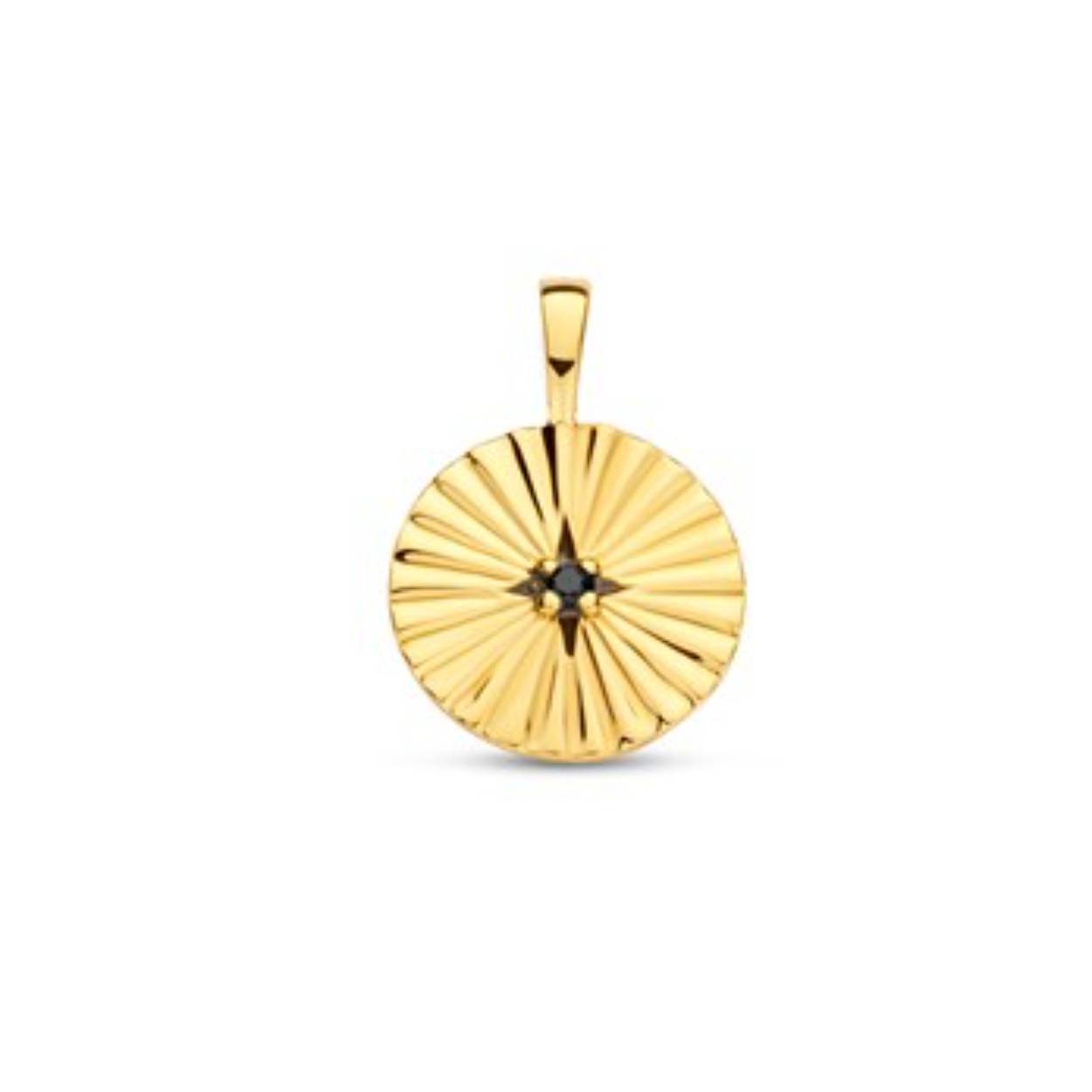 Geelgoud op zilveren hanger uitgevoerd met een zwarte zirkonia. De hanger heeft een totale hoogte van 1.7cm en een diameter van 12.5mm. Geen garantie op plating.