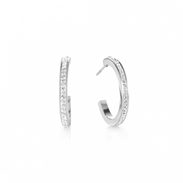 0139/21-1817 Coeur de Lion oorsteker edelstaal met crystal