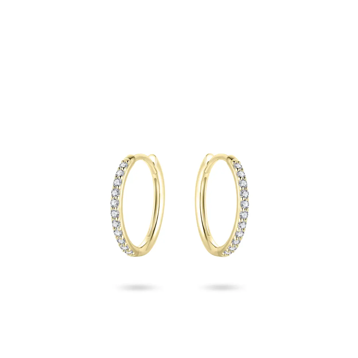 Oorbellen 14kt zirconium golddplated