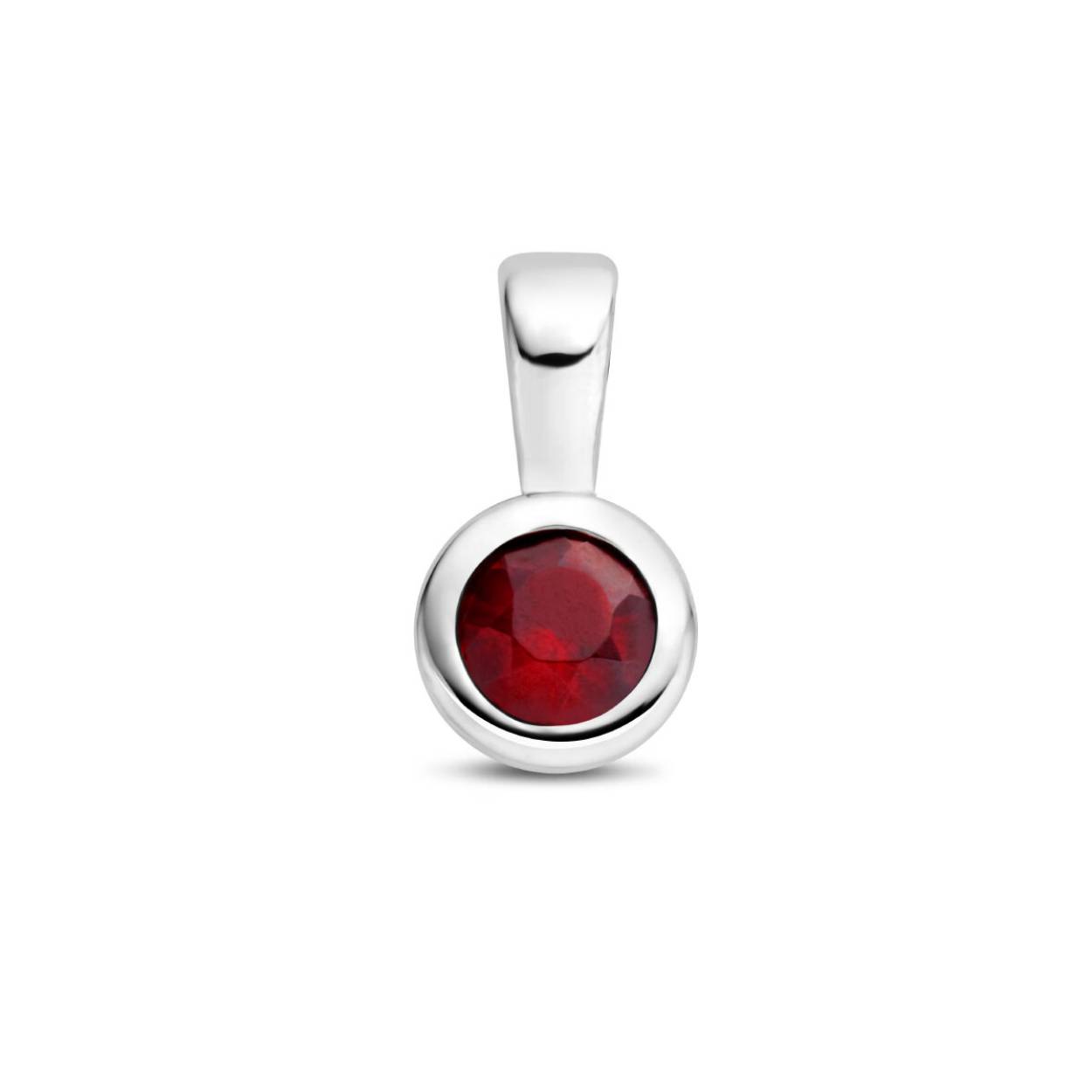 Gerhodineerd 925 geboortesteen zilveren hanger uitgevoerd met een schitterende granaat. De hanger heeft een afmeting van 11x5.5mm. De granaat heeft een steengewicht van 0.35ct.