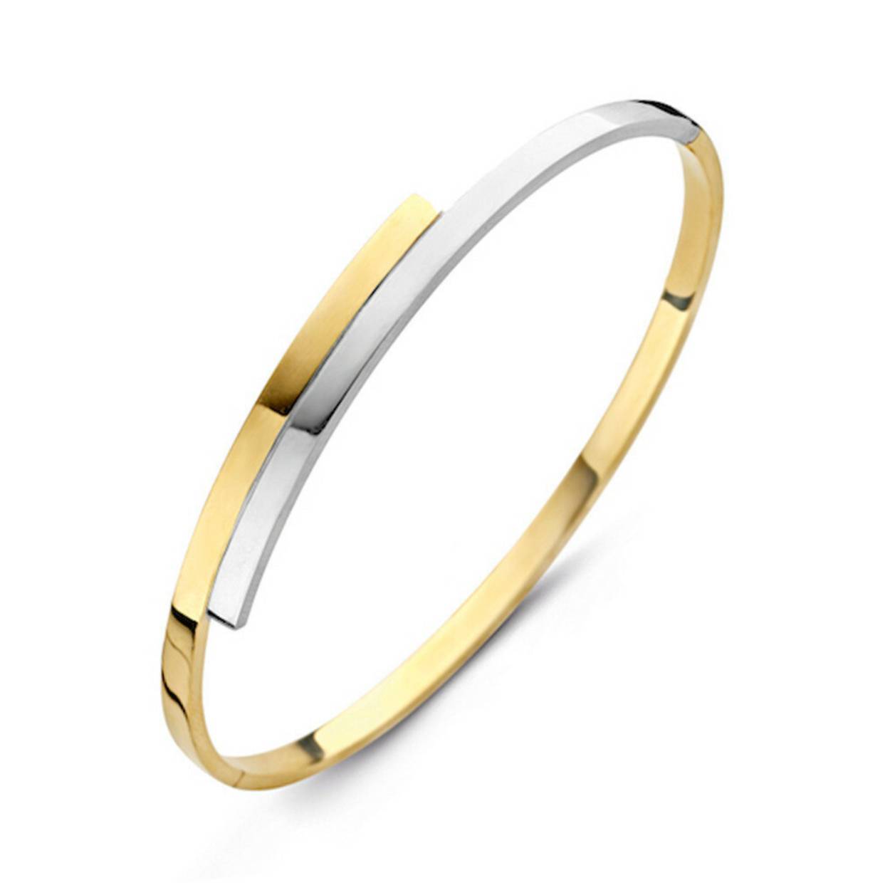 41A376103 Fjory gouden armband bicolor zilver kern