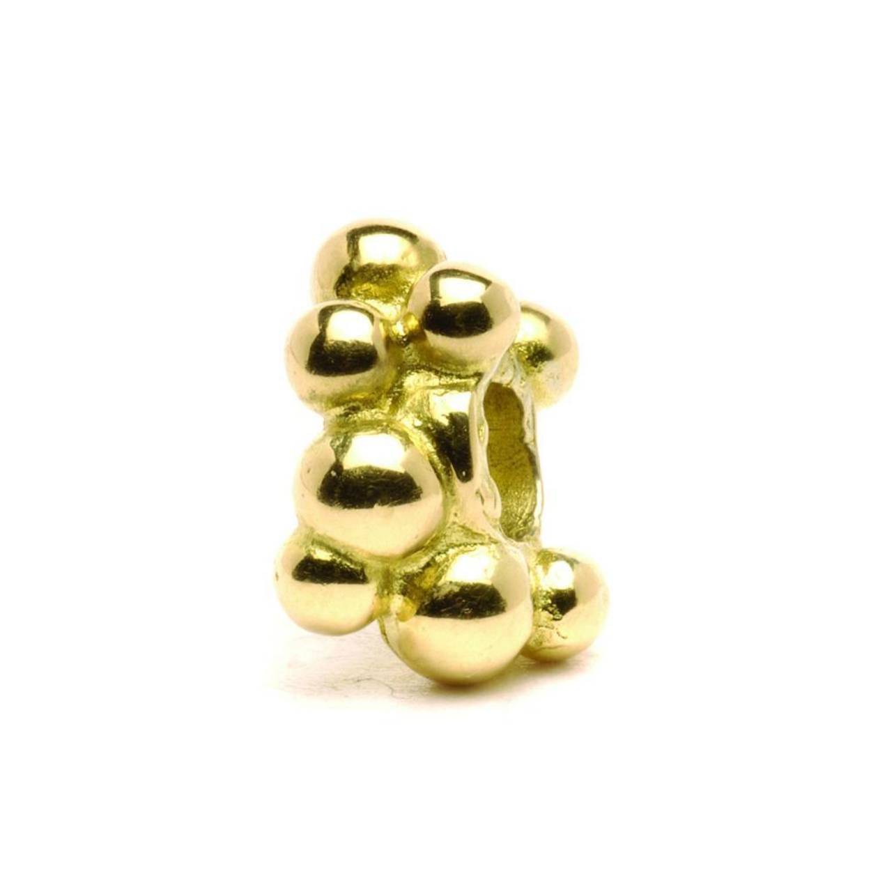 Deze trollbead illustreert de mogelijkheid, inherent aan de natuur, om ons verschillend te ontwikkelen, ondanks het feit dat wij voorkomen uit dezelfde bouwstenen - de cellen