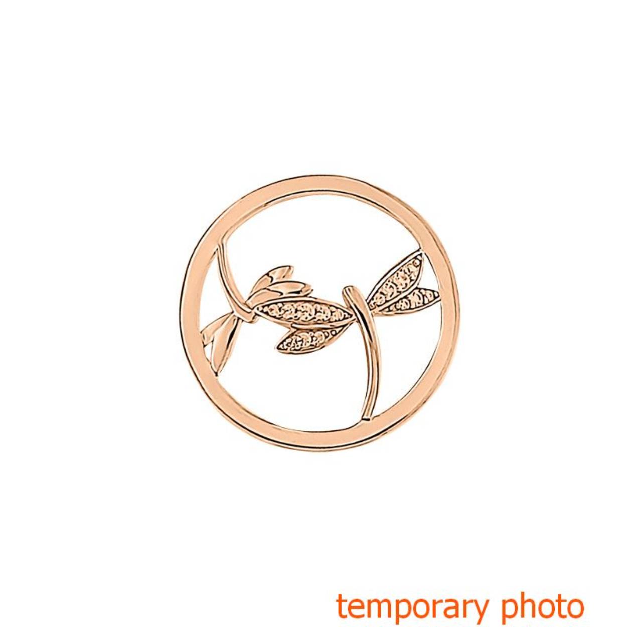 My Imenso 3D dragon fly rose 24mm
